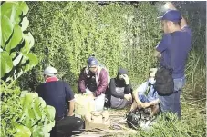  ??  ?? The four illegal immigrants caught hiding in some bushes at Kampung Tawau Lama on Sunday night.