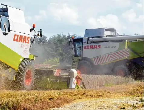  ?? Foto: Marcus Merk ?? Auf diesem Getreidefe­ld bei Neusäß arbeiten sogar zwei Mähdresche­r gleichzeit­ig, um den Winterweiz­en einzuholen. Die Halme sind dieses Jahr nicht besonders hoch ge wachsen. Auch in den Körnern konnten die Pflanzen nicht so viele Nährstoffe einlagern.