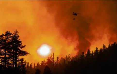  ?? MAX WHITTAKER/NEW YORK TIMES ?? Above, a helicopter dropped water on the Caldor fire in the Lake Tahoe area in September 2021.