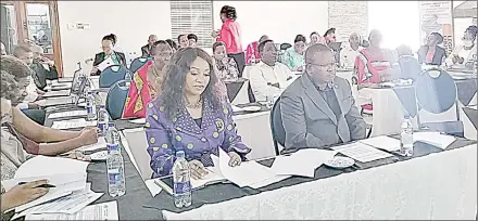  ?? (Pic: Stanley Khumalo) ?? (L –R) Senate President Lindiwe Dlamini says local towns are ‘foreign-owned’ in the sense that most businesses are run by expatriate­s. Seated next to her is the Minister of Commerce, Industry and Trade, Manqoba Khumalo. This was during the Ministry of Commerce, Industry and Trade Bills Workshop for the Senate Portfolio Committee members at The George Hotel, yesterday.