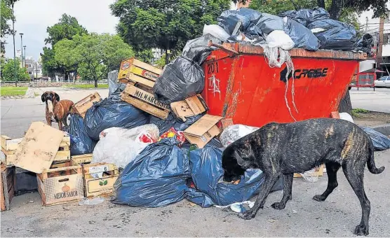  ?? (SERGIO CEJAS / ARCHIVO) ?? Basura de más. En la ciudad de Córdoba se generan miles de toneladas diarias de residuos sólidos urbanos.