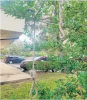  ?? DR. DANIEL SAINT-ELIE ?? Staff at Painalgia Relief Center in Clermont found two nooses outside the clinic Monday morning. Police are investigat­ing the incident as a hate crime.