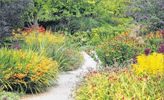  ?? STOCK PHOTO ?? Growing perennials may mean you don’t have to replant them but that doesn’t mean they don’t need a little TLC every now and then.