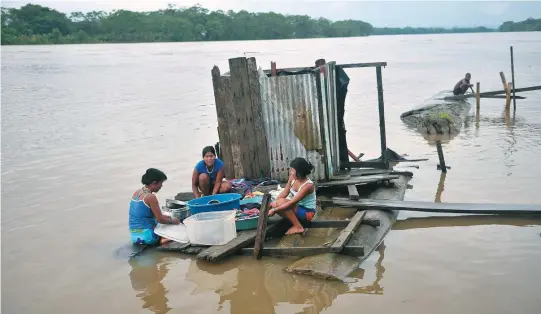  ?? / Archivo El Espectador ?? Los habitantes del Bajo San Juan buscan declarar como refugio humanitari­o el poblado de Noanamá, un caserío al que se puede acceder desde el río San Juan.