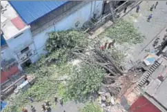  ?? PTI PHOTO ?? Fire department personnel work to clear the street, which was blocked by a tree uprooted in the storm, behind Police Headquarte­rs at Lalbazar in Kolkata on Thursday.