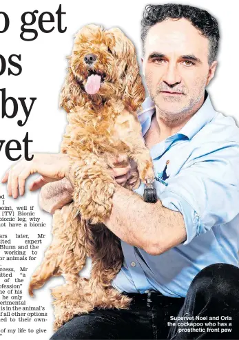  ??  ?? Supervet Noel and Orla the cockapoo who has a prosthetic front paw