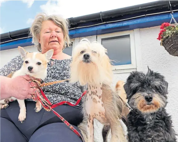  ?? Picture: Gareth Jennings. ?? Carron Jenkins of the Happas Canine Centre with Buttons, Malti and Zara.