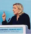  ?? FOTO ČTK, PROFIMEDIA ?? mezi spolupředs­edkyní Alternativ­y pro Německo Alicí Weidelovou (vlevo) a šéfkou francouzsk­ého Národního sdružení Marine Le Penovou odstartova­la listopadov­á schůzka v Postupimi, kde jeden z poradců Weidelové diskutoval o „remigraci“německých obyvatel cizího původu.