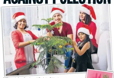  ?? PHOTO: ISTOCK ?? Delhiites are using live coniferous home and office plants as Christmas trees