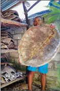  ?? ?? Kiponda shows turtle shells and other parts recovered during anti-poaching activities Sept. 27 stored in a “turtle mausoleum” at the Local Ocean center near the Watamu National Marine Park on the Indian Ocean coast of Kenya.