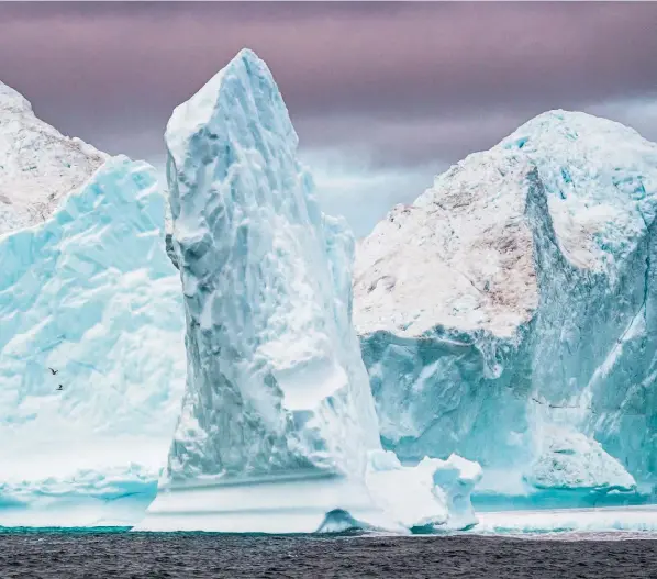  ??  ?? With some taller than skyscraper­s, the icebergs in and around Disko Bay, near Illulissat in western Greenland, are among the most numerous and impressive in the northern hemisphere. As the ice compresses, air bubbles are pushed out, resulting in the absorption of only small amounts of red light. This is then refracted as the blue tint seen here