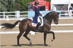  ??  ?? Charlotte Dujardin and Mount St John Freestyle are unbeatable