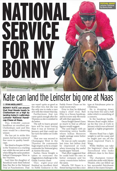  ??  ?? FESTIVAL BOOST Leinster National tip Bonny Kate