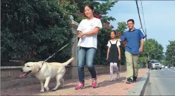  ?? CHENG SI / CHINA DAILY ?? Zhao Qiyi (front) is fostering Bubble, who may be trained as a guide dog, in Dalian.