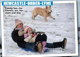  ??  ?? NEWCASTLE- UNDER- LYME
Family fun... for Connie, six, her mum and dog