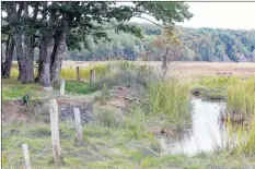  ??  ?? Randy Barkhouse and others have been shoring up the cemetery against the rising waters by building dykes and barriers.