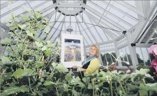  ??  ?? Artist Ann Davies with one of her paintings from the Glasshouse­s of Yorkshire exhibition at Scampston Hall, near Malton.