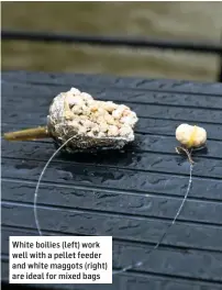  ??  ?? White boilies (left) work well with a pellet feeder and white maggots (right) are ideal for mixed bags