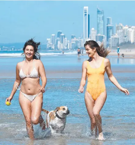  ?? Picture: MIKE BATTERHAM ?? Maria Buci and Amy Crowe take dog Archie for a cooling splash in the water at Main Beach.