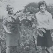  ??  ?? ■ Gardener Mrs Freda Windows, pictured with her grand-daughter Christine (14), found something odd in her cabbage patch at her home in St Paul’s Road. The plant looked like a horse chestnut, had branches like rhubarb and the trunk was a type of bamboo, reported the ET on October 28. They’d nicknamed the mysterious plant Topsy.