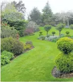  ??  ?? Standard shrubs and topiaries can co-exist with relaxed planting of herbs and ground covers.