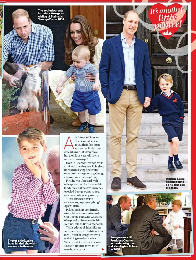  ??  ?? The excited parents introduce George to a bilby at Sydney’s Taronga Zoo in 2014. William clasps his son’s hand on his first day at school. George meets US President Obama in the drawing room of Kensington Palace in 2016. The tot is thrilled to have his...