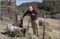  ??  ?? Webb checks on the goats at Via Services’ 13-acre retreat.