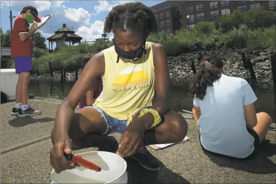  ?? Erik Trautmann / Hearst Connecticu­t Media ?? Loloa Ogunkoya, center, and other Maritime Aquarium campers ages 9- 12 check river- water chemistry off the aquarium dock on Tuesday.