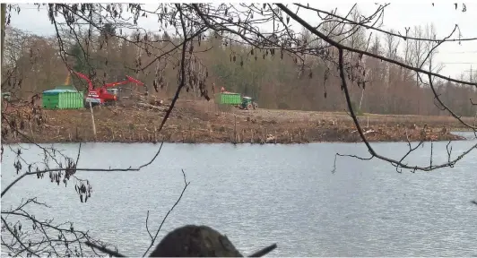  ?? FOTO: ROBIN SOLINUS ?? Blick auf die abgeholzte Fläche am Oerkhausse­e. Sieht schlimm aus, dient aber dem Schutz der Uferschwal­be.