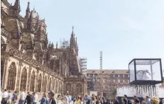  ??  ?? The Strasbourg Cathedral and the 12,000-year-old skeleton of a ‘mammoth.’