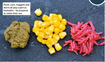  ??  ?? Paste, corn, maggots and worm all play a part as hookabits – be prepared to rotate their use