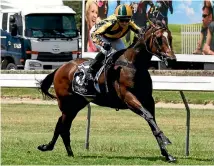  ?? PHOTO: RACE IMAGES/PALMERSTON NORTH ?? Pukekohe mare Untamed Diamond is having a successful campaign in Sydney.