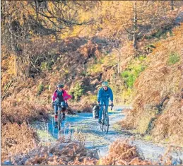  ??  ?? Cyclists on the Glack, Loch Ordie track, Dunkeld