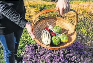  ?? ?? It can be hard to decide what to grow in a home vegetable garden. Expert Elizabeth Peirce recommends growing high-value crops like heirloom tomatoes.