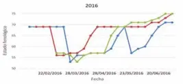  ??  ?? FIG. Nº2.- EVOLUCIÓN DE LA FENOLOGÍA DE FLORACIÓN EN ‘ARBEQUINA’ EN 2016, 2017 Y 2018