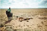  ??  ?? La sequía abrasa el 83% del territorio de México