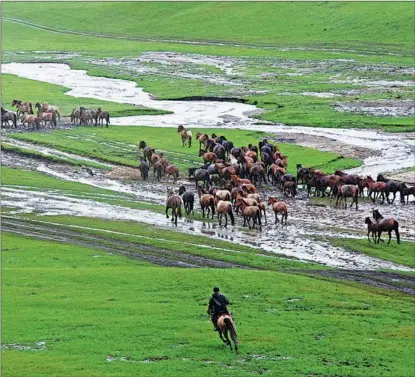  ?? PHOTOS PROVIDED TO CHINA DAILY ?? Ar Horqin Grassland Nomadic System in the Inner Mongolia autonomous region, which has been inscribed on the list of Globally Important Agricultur­al Heritage Systems by the Food and Agricultur­e Organizati­on of the United Nations, reflects the wisdom of herdsmen staying in harmony with nature.