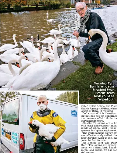  ?? ?? Warning: Cyril Bennis, who runs Stratford Swan Rescue, fears birds could be ‘wiped out’