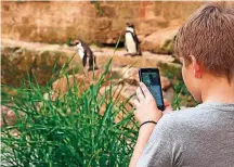  ??  ?? Viele Tiere im Saarbrücke­r Zoo werden in der Dämmerung aktiv.