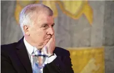  ?? Foto: Matthias Balk, dpa ?? Bayerns Ministerpr­äsident Horst Seehofer hatte am Samstag beim Tag der offenen Tür in der Staatskanz­lei einen kurzen Schwächean­fall.