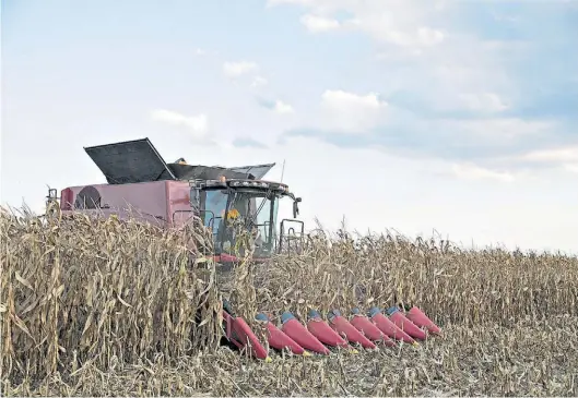  ?? BLOOMBERG ?? La creciente mecanizaci­ón cruza el campo: trae beneficios al productor pero disminuye la oferta laboral.