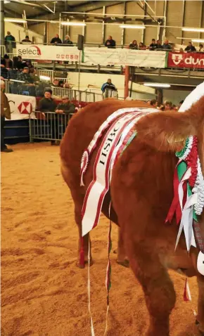  ??  ?? > Supreme Beef Champion at the RWAS Winter Fair 2016 in Llanelwedd was Li Duffton and Rebecca Stuart of Huntly, Aberdeensh­ire