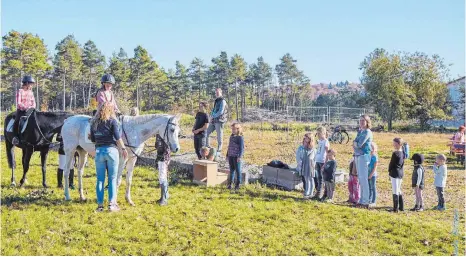  ?? FOTO: DANIELA BITTNER ?? Beim Tag der offenen Vereinstür beim RFV Bopfingen waren Reiterwett­bewerbe und Ponyreiten angesagt.