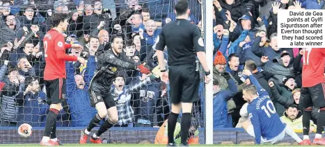  ??  ?? David de Gea points at Gylfi Sigurdsson after Everton thought they had scored a late winner