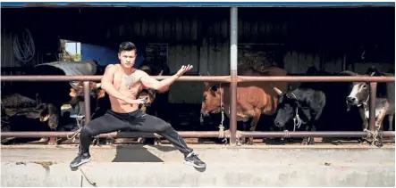  ?? — Reuters ?? Master of his art: Ren posing at the bull stable of the Haihua Kung-fu School in Jiaxing, Zhejiang province, China.