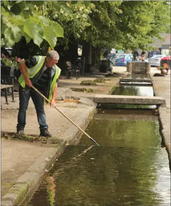  ??  ?? Michael Scott of Bunclody Tidy Towns at the Mall stream.