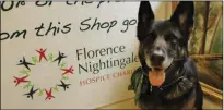  ?? ?? Antilly has helped fundraise for the Florence Nightingal­e Hospice