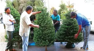  ??  ?? Residents buying Chritmas trees in Satwa in Dubai. This year, many people opted for original fir trees.