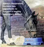  ??  ?? Horslyx Respirator­y contains key ingredient­s to support a healthy respirator­y system
WWW.YOURHORSE.CO.UK