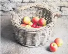  ??  ?? Harvest Basket, £30, gardentrad­ing.co.uk A woven basket adds an extra rustic touch. Fill with warm blankets, or fruit, twigs and berries